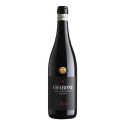 Allegrini Amarone della Valpolicella Classico Wine Allegrini Amarone della Valpolicella Classico Wine