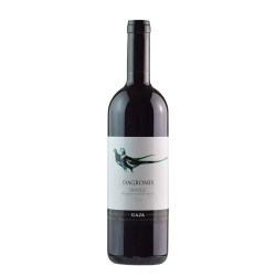 Gaja Dagromis Barolo 2019 Gaja Dagromis Barolo 2019