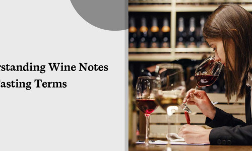 Understanding Wine Notes and Tasting Terms